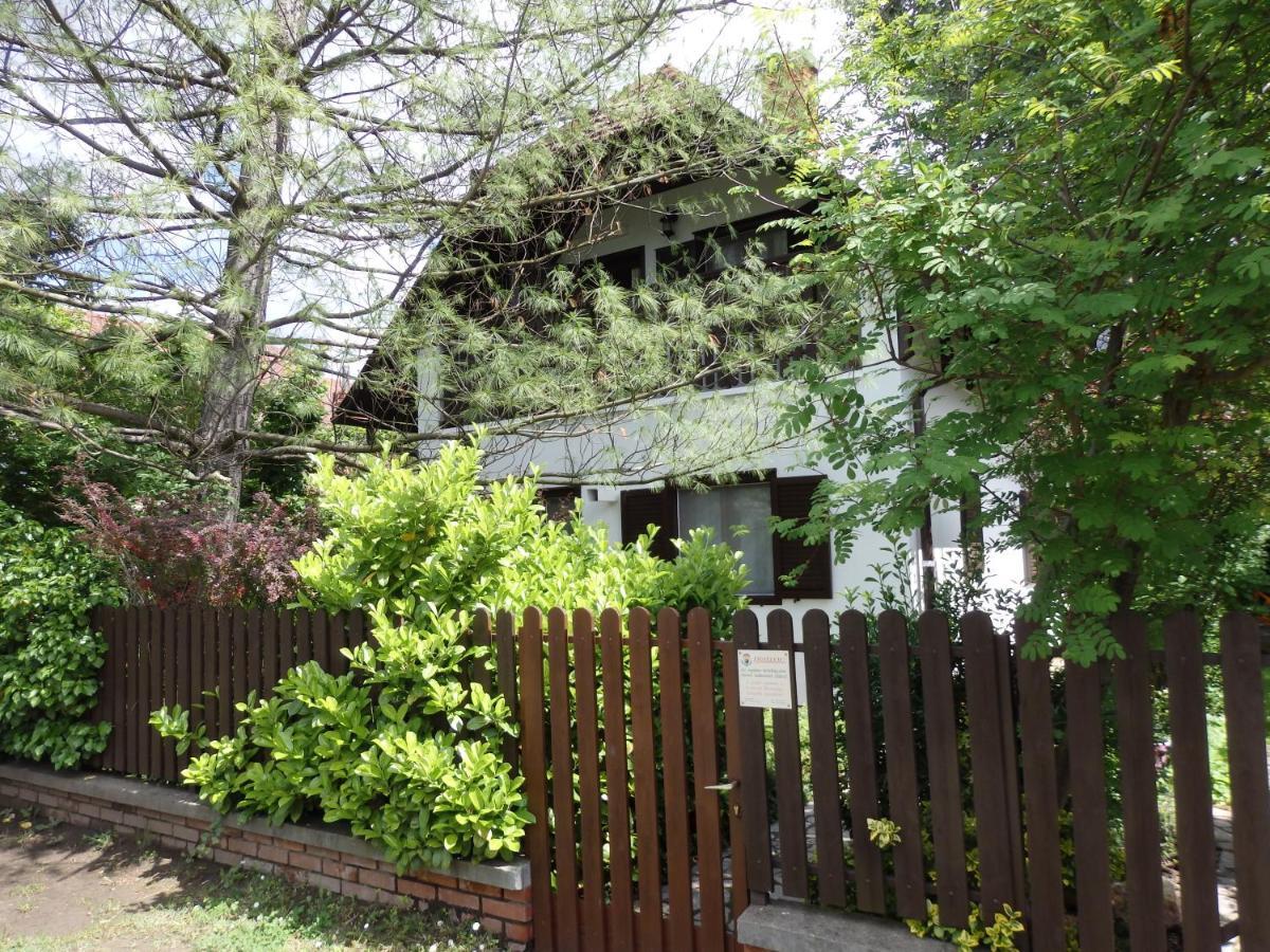 韦伦采Orgona Vendeghaz别墅 外观 照片
